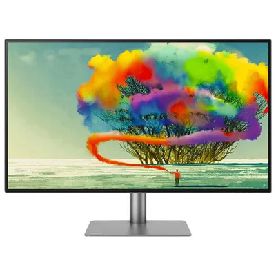 BenQ DesignVue 31.5" 4K Ultra HD 60Hz 5ms GTG IPS LED Monitor (PD3220U) - Grey