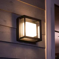 Philips Hue Econic LED Smart Outdoor Wall/Ceiling Light - White and Colour Ambiance