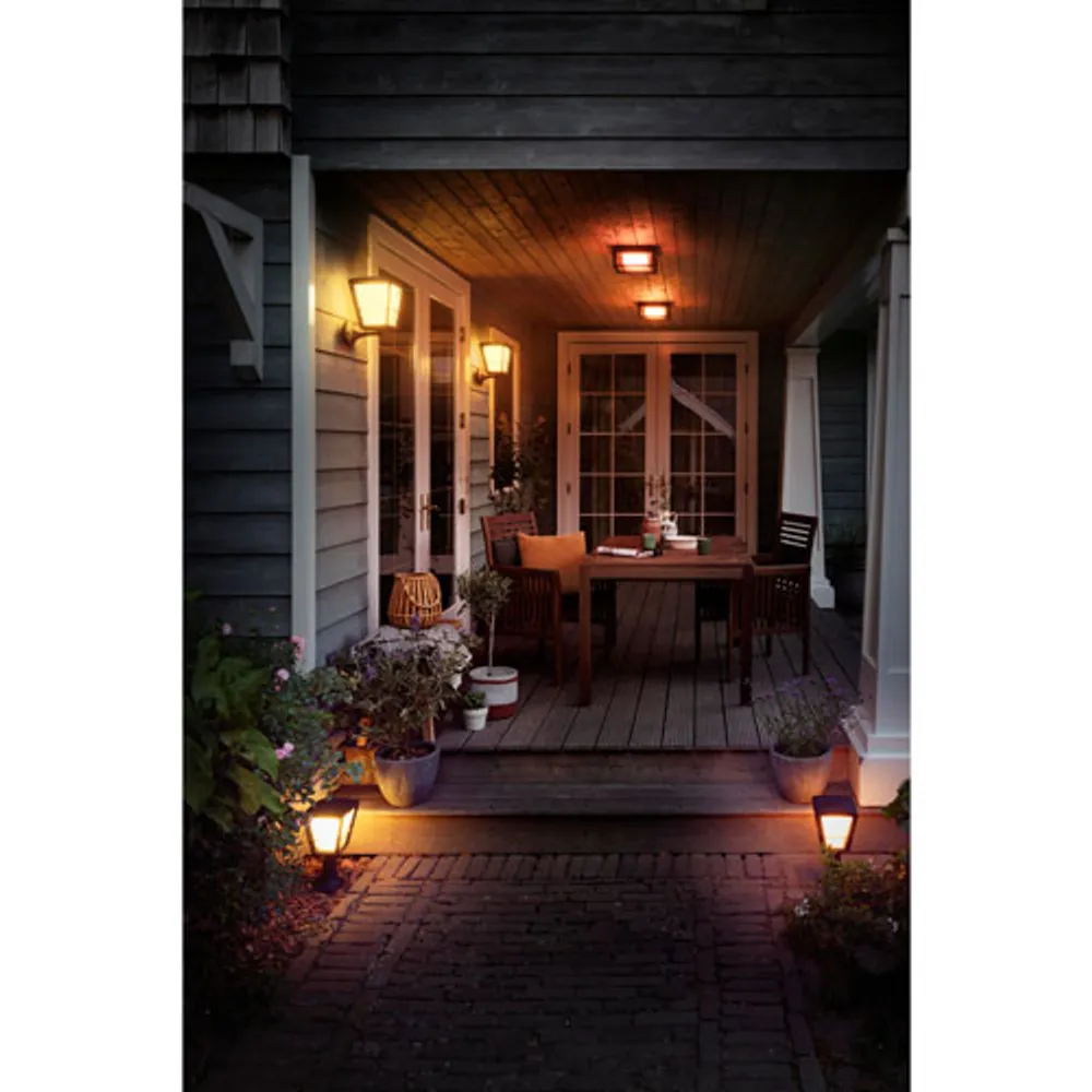 Philips Hue Econic LED Smart Outdoor Wall/Ceiling Light - White and Colour Ambiance