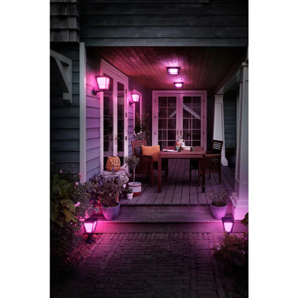 Philips Hue Econic LED Smart Outdoor Wall/Ceiling Light - White and Colour Ambiance