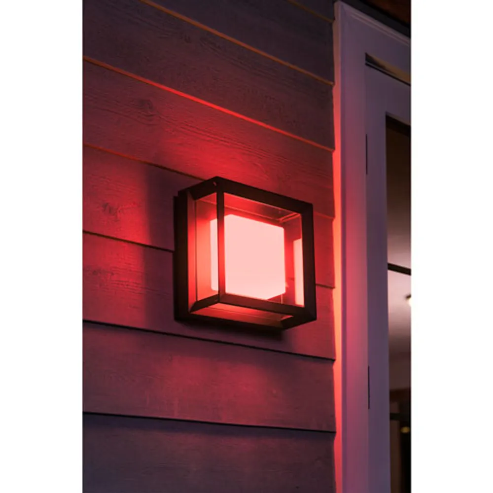 Philips Hue Econic LED Smart Outdoor Wall/Ceiling Light - White and Colour Ambiance