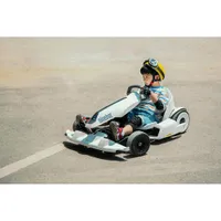 Ninebot Gokart Kit for Ninebot S