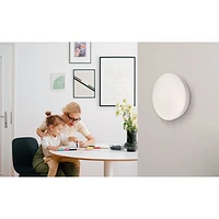 Airthings Wave Plus Indoor Air Quality Monitor with Radon Detection