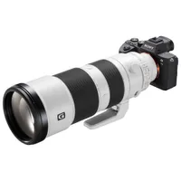 Sony E-Mount Full-Frame FE 200–600mm f/5.6–6.3 OSS Optical SteadyShot Super-Telephoto Zoom G Lens