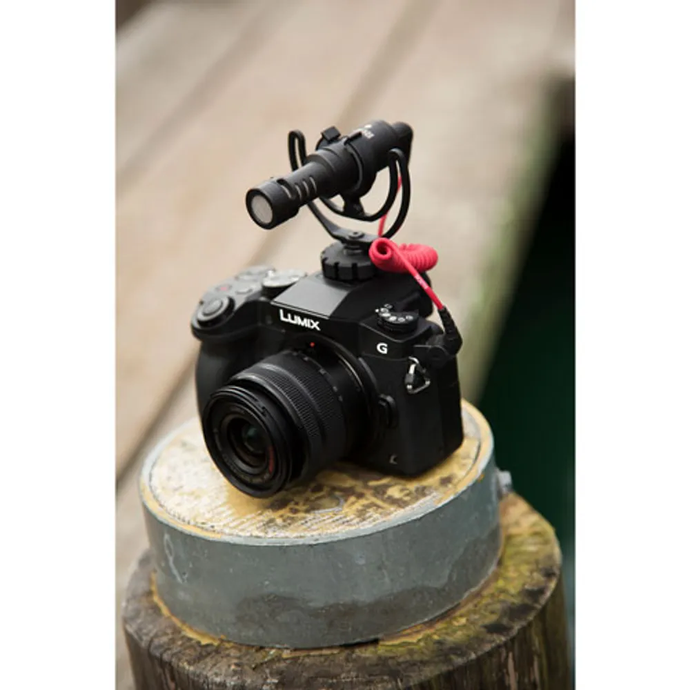 Microphone pour caméra VideoMicro de Rode