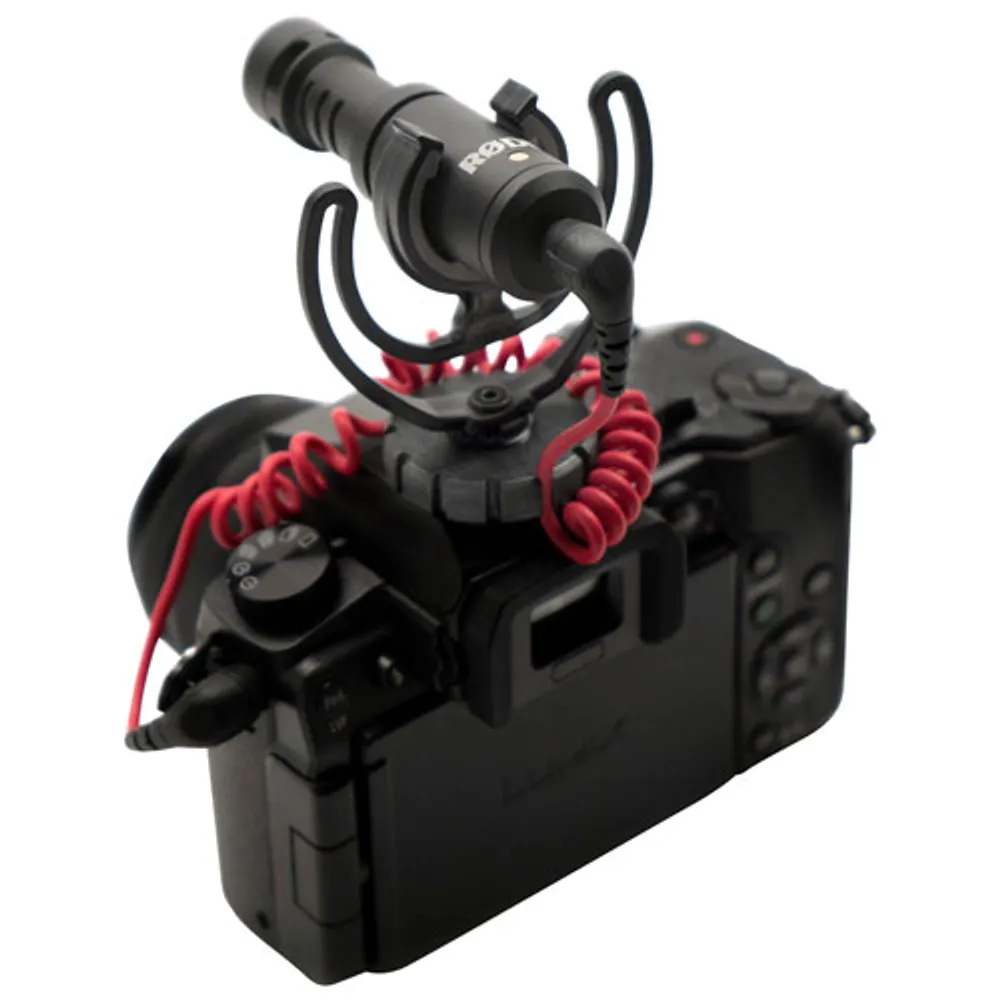 Microphone pour caméra VideoMicro de Rode