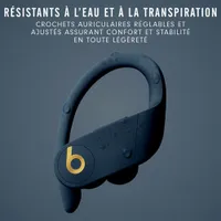 Beats by Dr. Dre Powerbeats Pro In-Ear True Wireless Earbuds - Navy