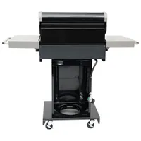 Kenmore PG-4030400LD 30000 BTU Convertible Propane BBQ - Black