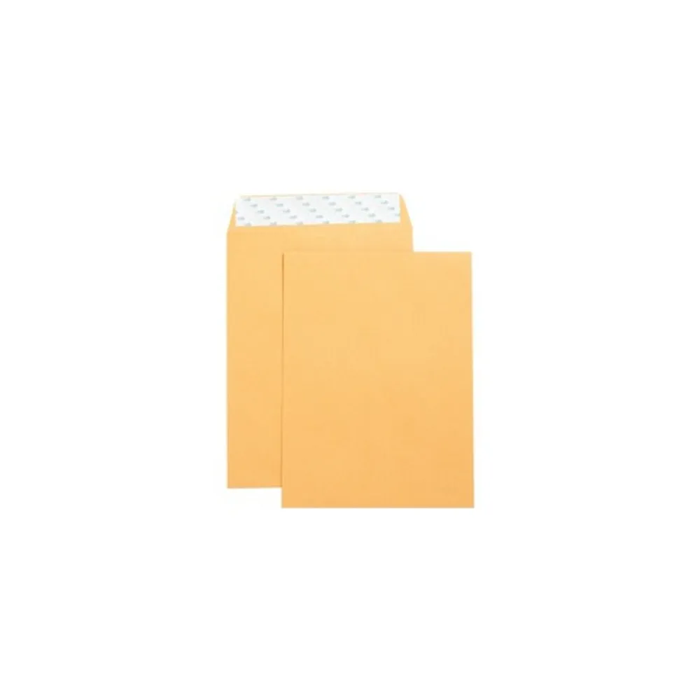 Business Source Large Format/Catalog Envelopes Catalog Envelope (65450)