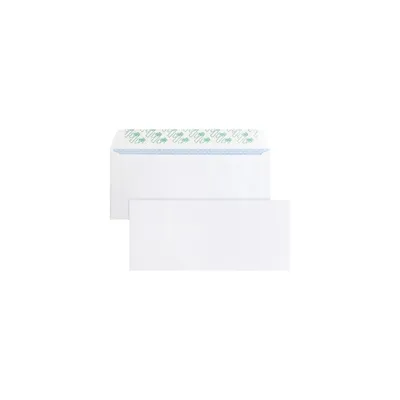 Business Source Security Tint Window Envelopes - 16473