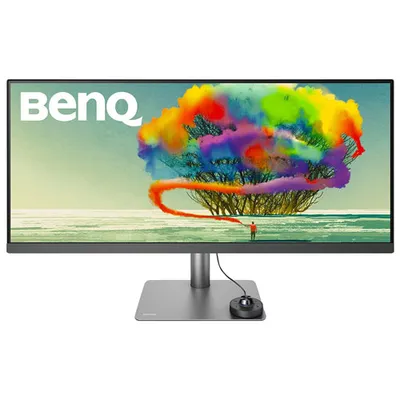 BenQ 34" 1440p WQHD 60Hz 5ms GTG IPS LED Monitor (PD3420Q) - Black