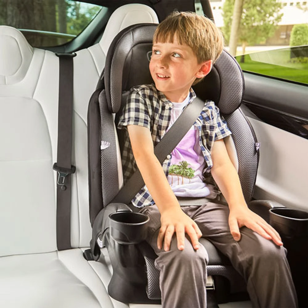 Evenflo Chase Plus 2-in-1 Convertible Booster Car Seat - Geneva