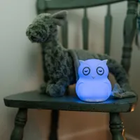 bbluv Hibu Owl Silicone Portable Night Light With Remote