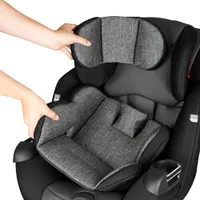 Evenflo Symphony Sport 3-in-1 Convertible Car Seat - Charcoal Shadow