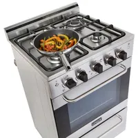 Unique Prestige 24" 2.3 Cu. Ft. Fan Convection Freestanding Gas Range (UGP-24V PC1) - Stainless Steel