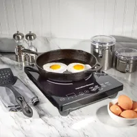 Hamilton Beach Single Induction Cooktop - Black