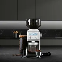 Moulin à café Smart Grinder Pro de Breville - Sel de mer