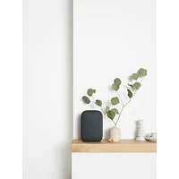 Haut-parleur intelligent Google Nest Audio - Anthracite