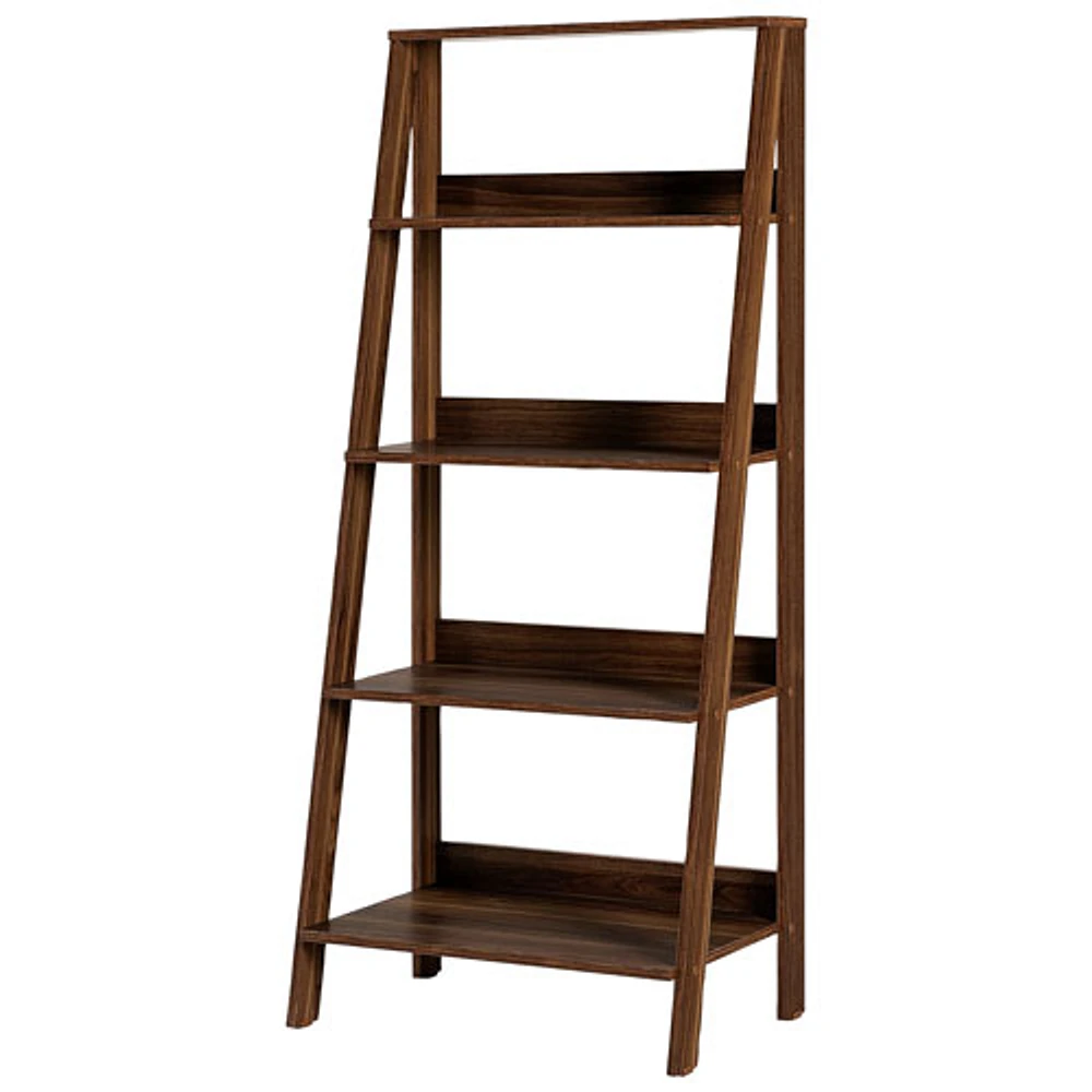 Winmoor Home 55" 4-Shelf Wood Ladder Bookcase - Dark Walnut