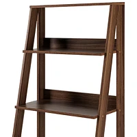 Winmoor Home 55" 4-Shelf Wood Ladder Bookcase - Dark Walnut