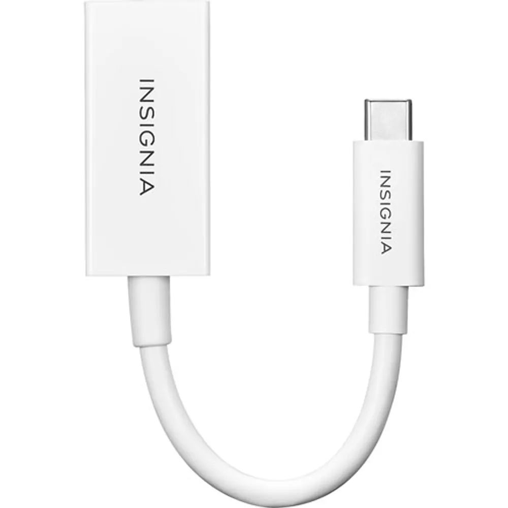 Insignia USB-C to 4K DisplayPort Adapter (NS-PCACD-C) - Only at Best Buy