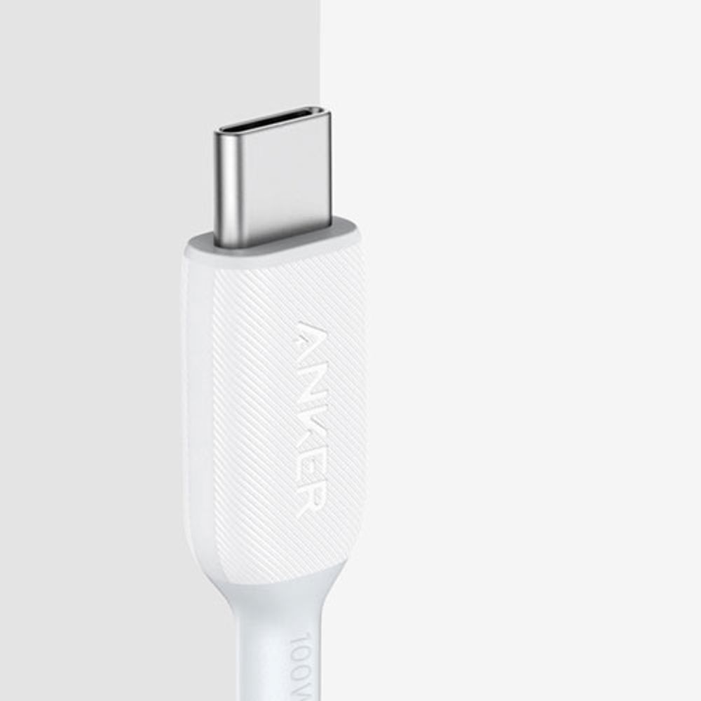 Anker Powerline III 1.8m (5.9 ft.) 100W USB-C to USB-C Cable