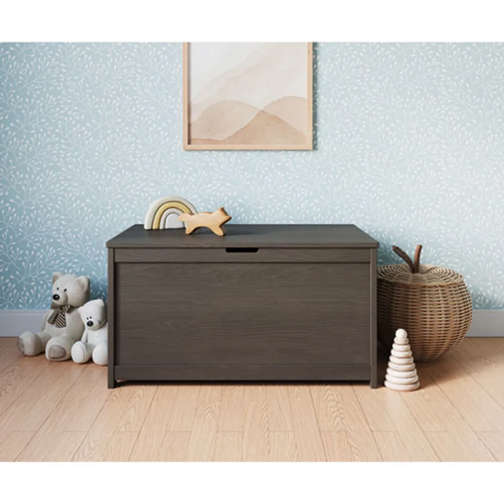 Forever Eclectic Harmony Toy Box