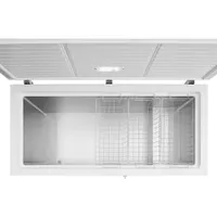 Insignia 13.8 Cu. Ft. Garage Ready Chest Freezer (NS-CZ14WH2-C) - White - Only at Best Buy