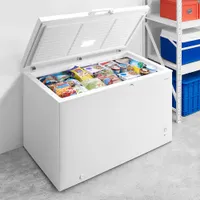 Insignia 13.8 Cu. Ft. Garage Ready Chest Freezer (NS-CZ14WH2-C) - White - Only at Best Buy