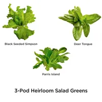 AeroGarden Heirloom Salad Greens Pod Kit - 3 Pack