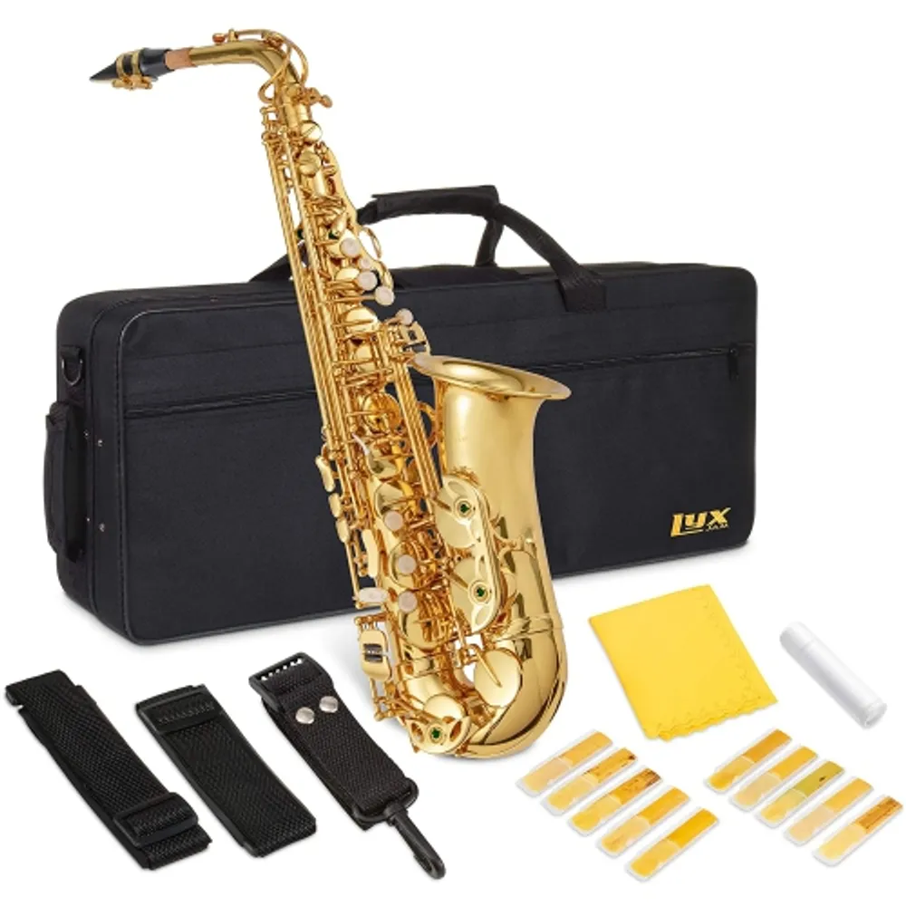 Best Alto Saxophone reeds for beginners in [GUIDE]