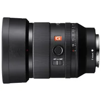 Sony E-Mount Full-Frame FE 35mm f/1.4 Premium G Master Large-Aperture Wide Angle Prime Lens