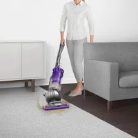 Dyson Ball Animal 2 Pro Upright Bagless Vacuum - Purple/Iron