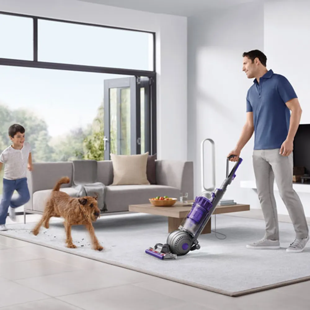 Aspirateur vertical sans sac Ball Animal 2 Pro de Dyson - Violet/Fer