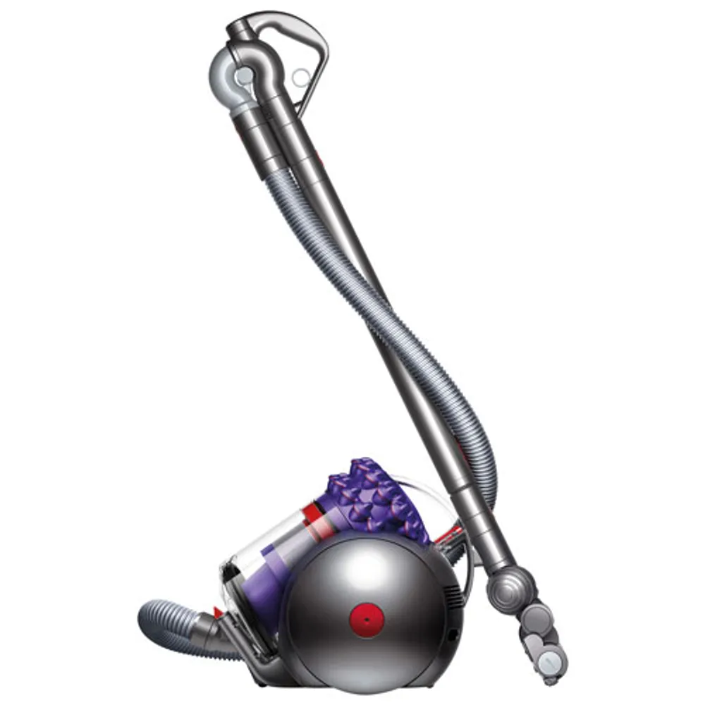 Dyson Cinetic Big Ball Animal Pro Canister Vacuum - Purple/Iron