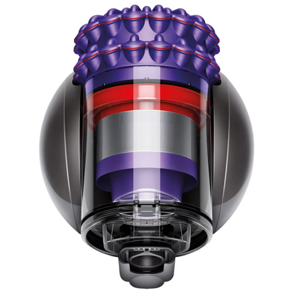 Dyson Cinetic Big Ball Animal Pro Canister Vacuum - Purple/Iron