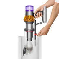 Dyson V15 Detect Total Clean Cordless Stick Vacuum - Nickel