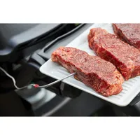 Weber Connect Smart Grilling Hub