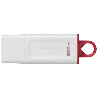 Kingston DataTraveler Exodia 256GB USB 3.2 Flash Drive