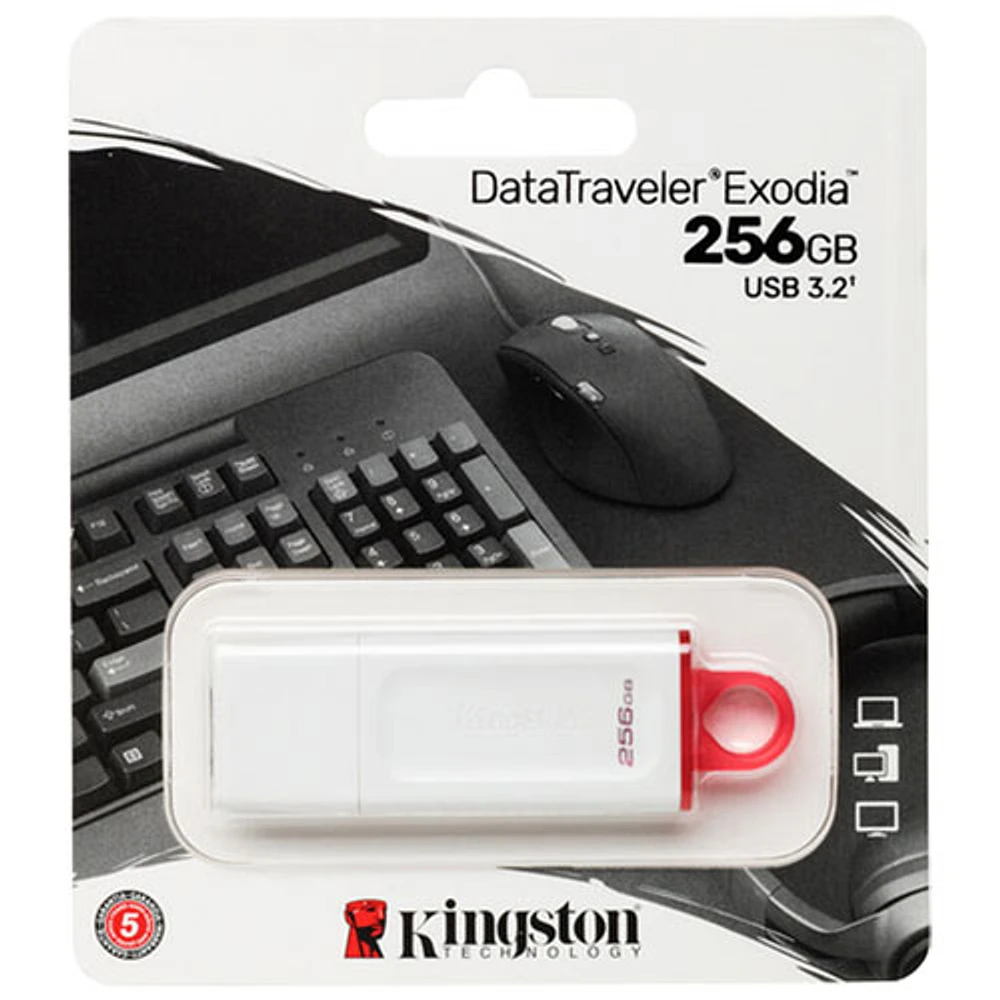Kingston DataTraveler Exodia 256GB USB 3.2 Flash Drive