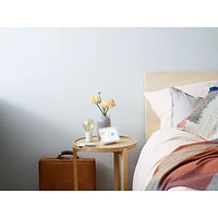 Écran intelligent Nest Hub de Google (2e gén.) avec Assistant Google - Craie