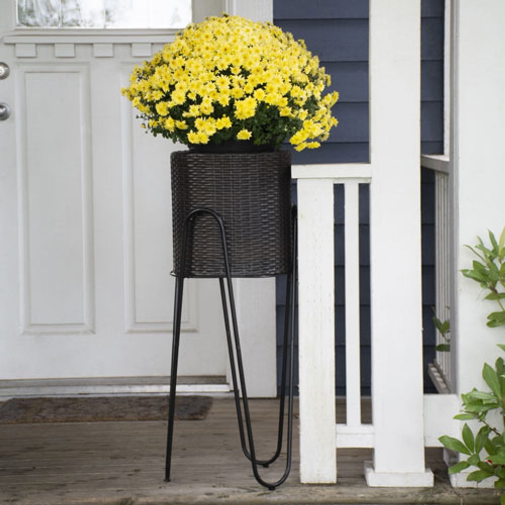 Grapevine Tall Round Wicker Planter - Brown