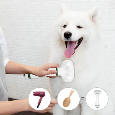 Pet Hair Dryer with 3 Temperature Settings, Quiet 2 in 1 Portable Pet Grooming Hair Dryer Blower