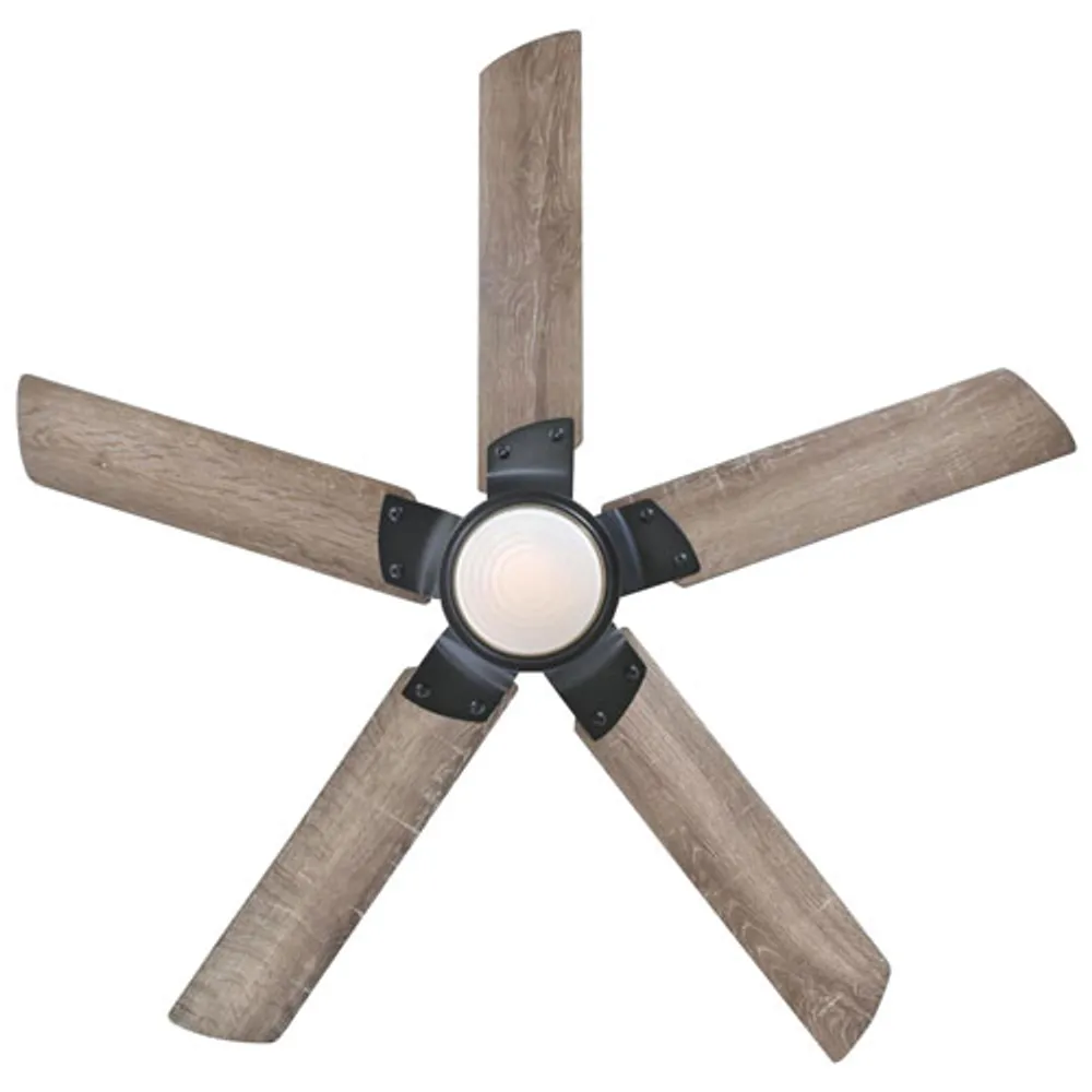 Westinghouse Morris 52" LED Ceiling Fan with Light Kit - Black