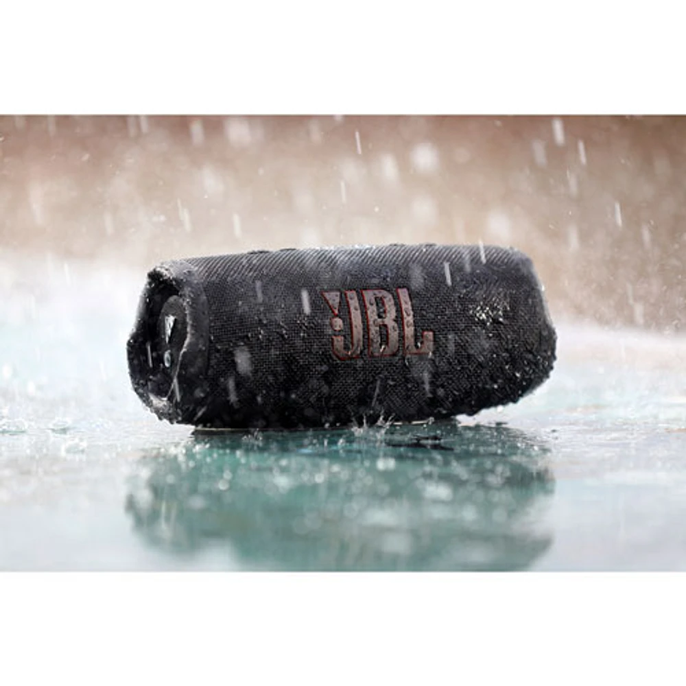 JBL Charge 5 Waterproof Bluetooth Wireless Speaker - Black