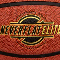 Spalding Neverflat Elite Size 7 (29.5") Basketball