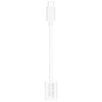 Best Buy Essentials USB-C to USB-A Adapter (BE-PA3C3A-C)