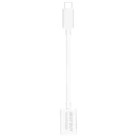 Best Buy Essentials USB-C to USB-A Adapter (BE-PA3C3A-C)