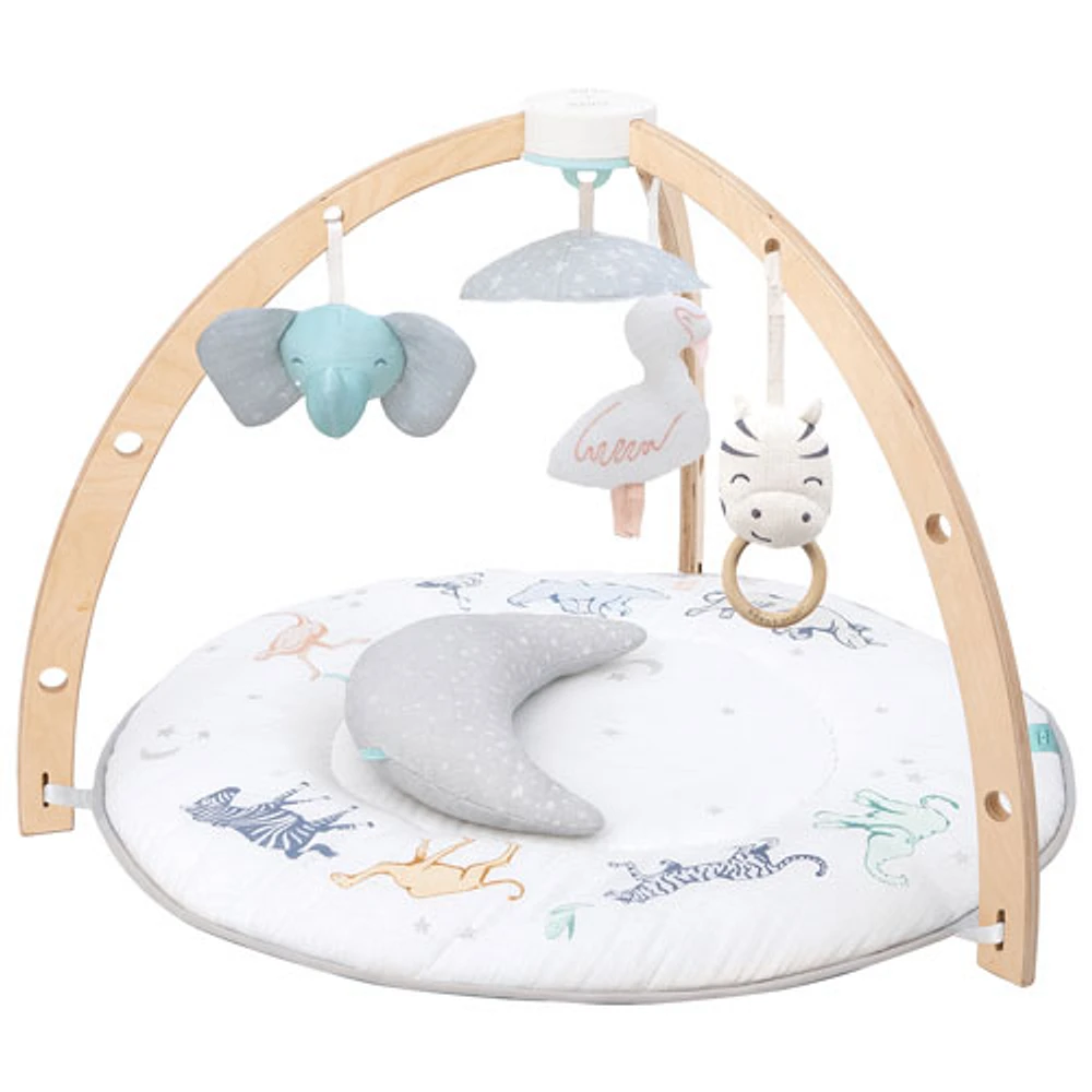 Aden + Anais Baby Play Activity Gym Mat