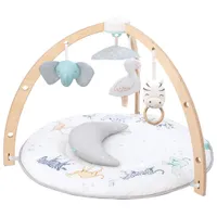 Aden + Anais Baby Play Activity Gym Mat